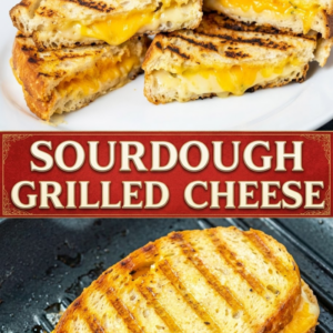 Grilled cheese sandwich